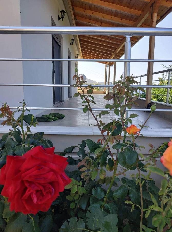 View Apartment Lukovë Екстериор снимка